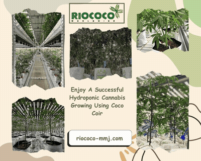 An Advertisement For Riococo Worldwide Shows A Greenhouse Filled With Lots Of Plants GIF