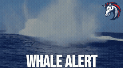 An Advertisement For Whale Alert With A Unicorn On It GIF