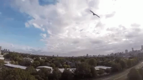 An Aerial View Of A Bird Flying In The Sky Over A City GIF