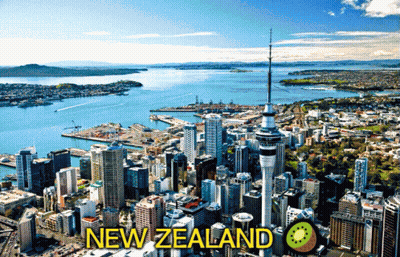An Aerial View Of A City In New Zealand With A Kiwi In The Foreground GIF