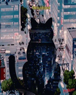 An Aerial View Of A City With A Cat In The Foreground And The Words Intuition Above It GIF