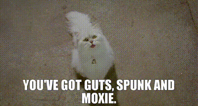 An Aerial View Of A City With The Words " You 'Ve Got Guts Spunk And Moxie " On The Bottom GIF