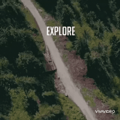 An Aerial View Of A Dirt Road In The Middle Of A Forest GIF