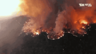 An Aerial View Of A Forest Fire With The Words Th Best Of The Year Written On The Bottom GIF