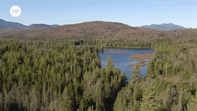 An Aerial View Of A Lake Surrounded By Trees And Mountains With A Sticker That Says Healthy Living GIF
