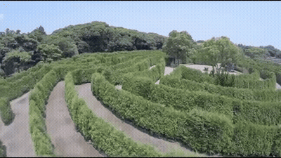An Aerial View Of A Maze With Trees And Bushes GIF