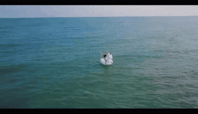 An Aerial View Of A Person On A Unicorn Float In The Ocean GIF