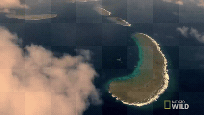 An Aerial View Of A Small Island In The Middle Of A Body Of Water With The Words National Geographic Wild On The Bottom GIF