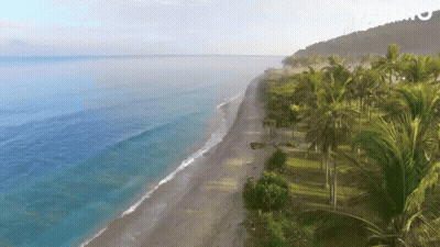 An Aerial View Of A Tropical Beach With Palm Trees And Mountains In The Background GIF