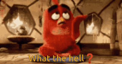 An Angry Bird Says What The Hell In A Room GIF