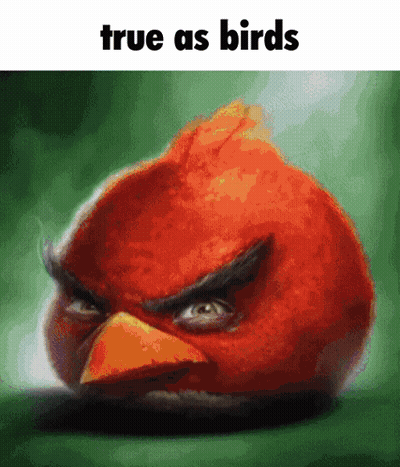 An Angry Bird With The Words True As Birds Below It GIF