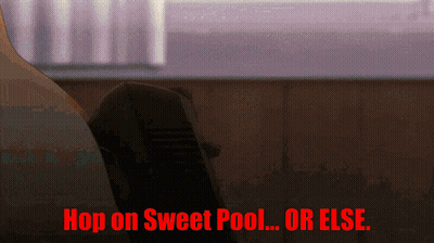 An Animated Image With The Words Hop On Sweet Pool Or Else GIF