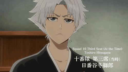 An Anime Character Named Squad 10 Third Seat At The Time Toshiro Hitsugaya GIF