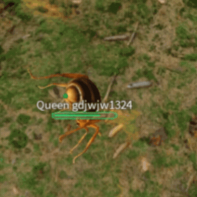 An Ant With Queen Gdjwjw1324 On It GIF