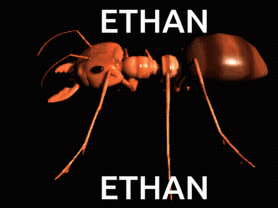 An Ant With The Name Ethan Written Above It GIF