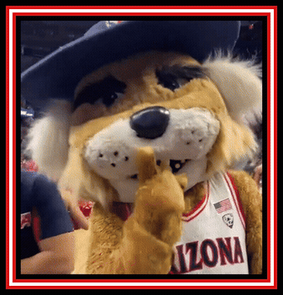 An Arizona Mascot Wearing A Cowboy Hat And A Jersey GIF