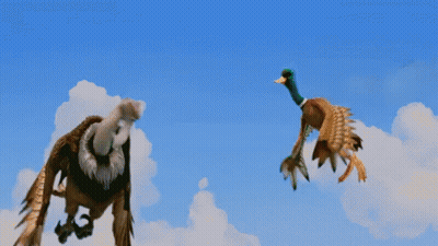 An Eagle And A Duck Flying In The Sky GIF