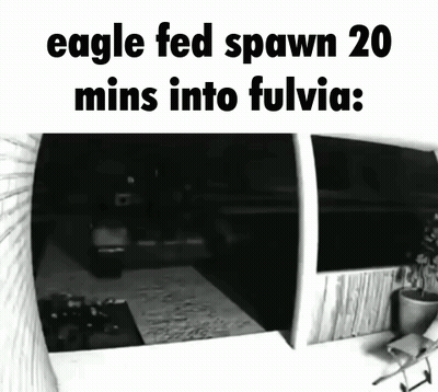 An Eagle Fed Spawn 20 Mins Into Fulvia : GIF