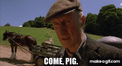 An Elderly Man In A Hat Is Standing In Front Of A Horse Drawn Cart . GIF