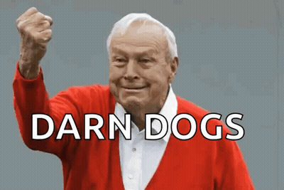 An Elderly Man In A Red Sweater Holds His Fist Up In The Air With The Words Darn Dogs Below Him GIF