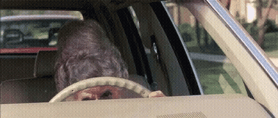 An Elderly Man Is Driving A Car With A Dog Behind The Steering Wheel GIF