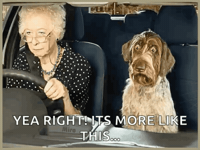 An Elderly Woman Driving A Car With A Dog In The Back Seat GIF