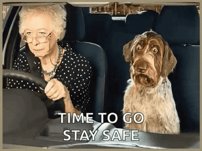 An Elderly Woman Is Driving A Car With A Dog In The Back Seat With The Words Time To Go Stay Safe Below Her GIF
