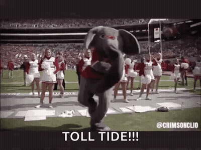 An Elephant Mascot Is Dancing On The Field With Cheerleaders . GIF