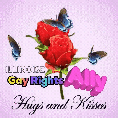 An Illinois Gay Rights Ally Hugs And Kisses Card GIF