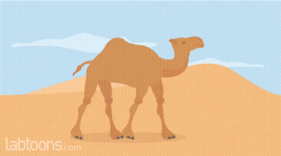 An Illustration Of A Camel In The Desert With Labtoons.com Written Below It GIF