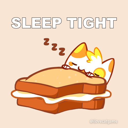 An Illustration Of A Cat Sleeping Under A Piece Of Toast With The Words Sleep Tight Above It GIF