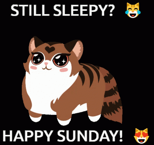 An Illustration Of A Cat With A Heart On Its Face And The Words Still Sleepy Happy Sunday GIF
