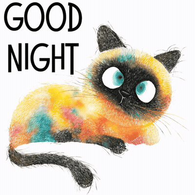 An Illustration Of A Cat With The Words " Good Night " Below It GIF