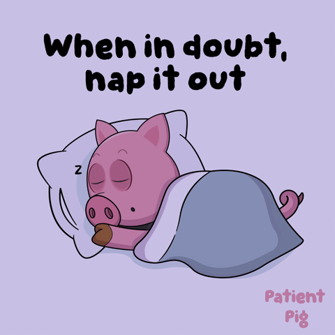 An Illustration Of A Pig Sleeping With The Words When In Doubt Nap It Out Below It GIF