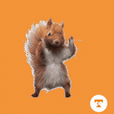 An Illustration Of A Squirrel With The Letter T In The Circle Below It GIF