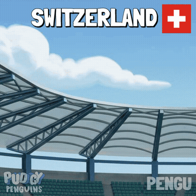 An Illustration Of A Stadium With The Words Switzerland Written On It GIF