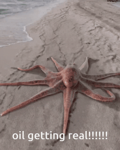 An Octopus Is Laying On The Beach With The Words Oil Getting Real GIF