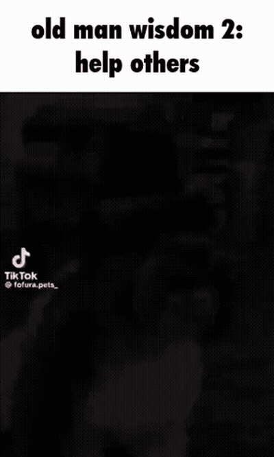 An Old Man Wisdom 2 : Help Others Meme With A Dog GIF