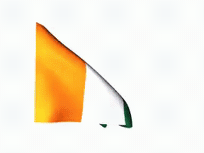 An Orange And Green Flag Are Waving In The Wind On A White Background GIF