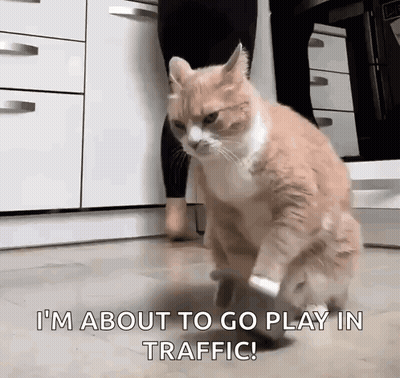 An Orange And White Cat Is Standing On Its Hind Legs In A Kitchen . GIF