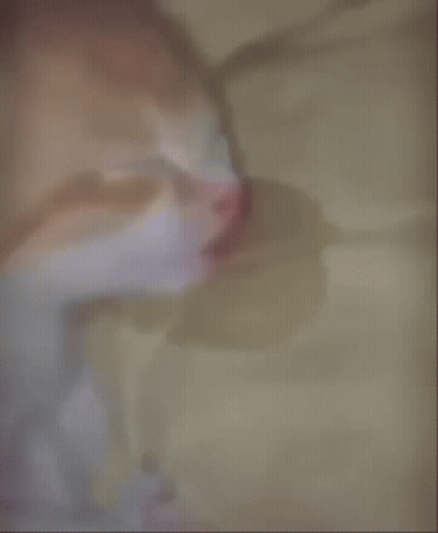 An Orange And White Cat Sleeping On A Bed GIF
