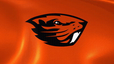 An Orange Background With A Black And White Beaver Head GIF