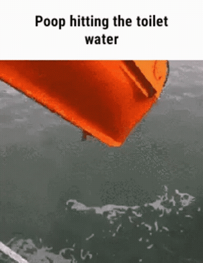 An Orange Pillow Is Floating In The Water With The Words Poop Hitting The Toilet Water Below It . GIF