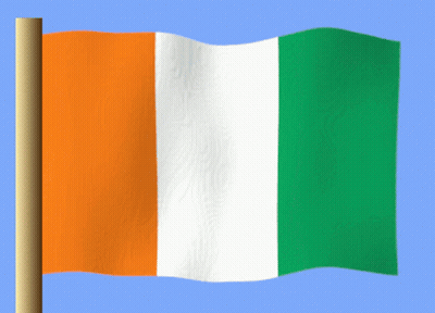 An Orange White And Green Flag Is Waving In The Wind Against A Blue Sky GIF