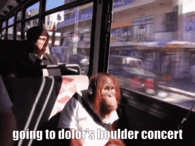 An Orangutan Is Sitting On A Bus With The Words Going To Dolor 'S Boulder Concert Below It GIF