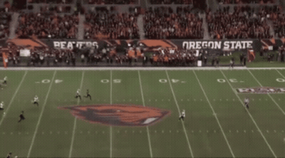 An Oregon State Football Game Is Being Played GIF