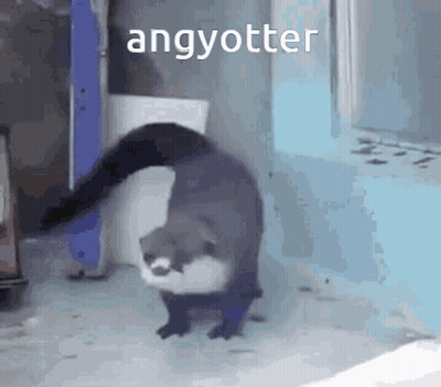 An Otter Is Walking In Front Of A Window With The Word Angyotter Above It GIF