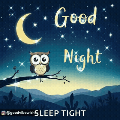 an owl sitting on a branch with the words good night
