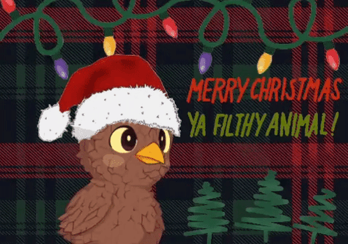 An Owl Wearing A Santa Hat With The Words Merry Christmas Ya Filthy Animal Below It GIF