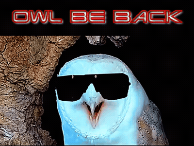 An Owl Wearing Sunglasses With The Words " Owl Be Back " Below It GIF